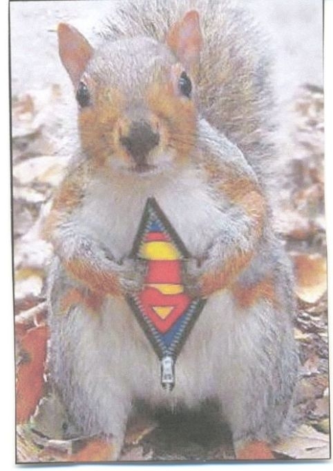 super Squirrel