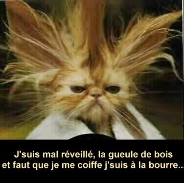 le lundi matin