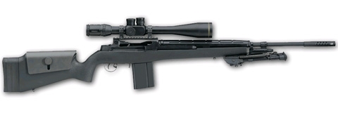 SPRINGFIELD ARMORY M25 TACTICAL RIFLE