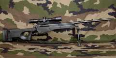 Rem700 Varmint - AICS