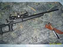 savage 12 FV +elite 3200 + choate varmint