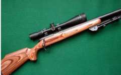 remington 504...