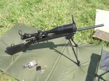 savage 17hmr