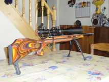 savage_17hmr