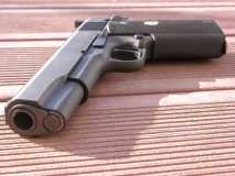 colt combat target 2