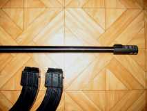 Canon & chargeurs RUGER 10/22 de Didier PARIS