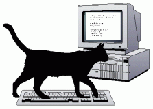 chat sur clavier