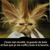 le lundi matin