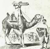 camel Gatling