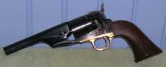 colt