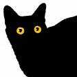 chatnoir