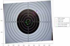 Groupement Sig 550 avec Hirtenberger 62 grs