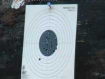 100m CZ452 20 balles