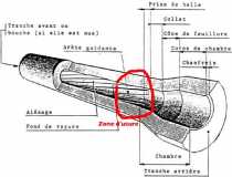 Zone d'usure du canon