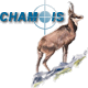 chamois