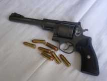 454 casull